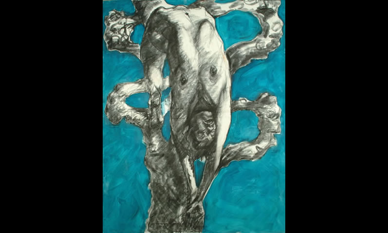 Metamorfoza 2008 140x110 ugljen up2